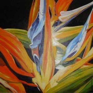 "Strelitzia"