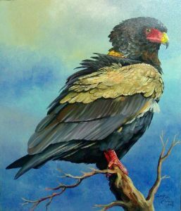 "Bateleur"