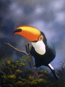 "Toucan"