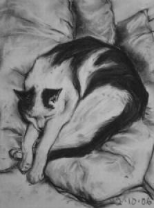 "Cat Sputnik 3"