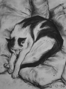"Cat Sputnik 3"