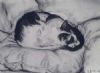 "Cat Sputnik 2"
