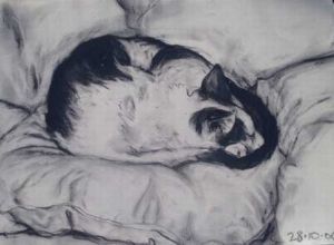 "Cat Sputnik 2"