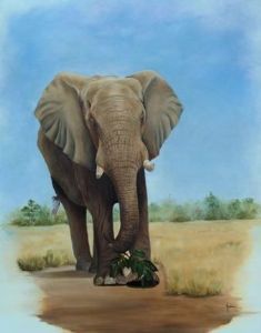 "Elephant Portrait"