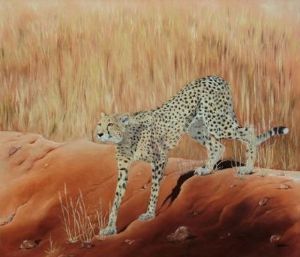 "Kalahari Cheetah"
