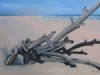 "Driftwood on the Beach"