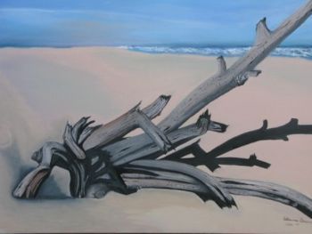 "Driftwood on the Beach"