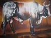 "Nguni Bull"
