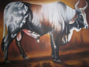 "Nguni Bull"
