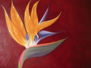 "Strelitzia on Red"