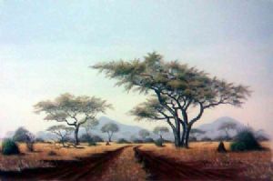"Bushveld Mystery"