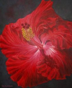 "Hibiscus"