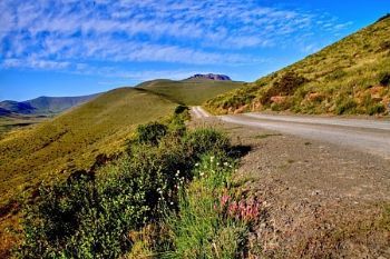 "Karoo"