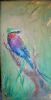 "Lilac-breasted Roller"