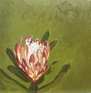 "Fynbos 62, Protea Susannae"