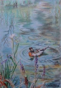 "Duck on a Pond"