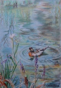 "Duck on a Pond"