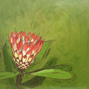 "Fynbos 57, Protea Obtusifolia"