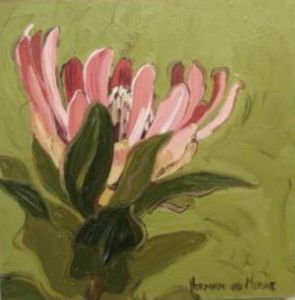 "Fynbos 48, Protea Compacta"