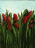 "red tulips"