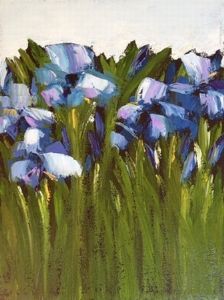 "blue Irises"