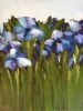 "blue Irises"
