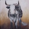 "Nguni 3"