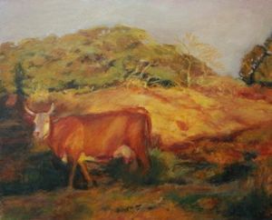 "Cow in Golden Light"