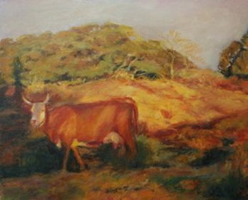 "Cow in Golden Light"