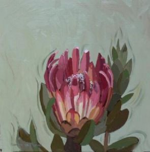 "Fynbos 72, Protea Compacta"