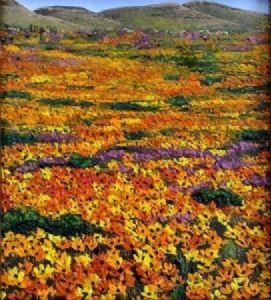 "Namaqualand"