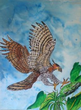 "Eagle (Soaring Spirits)"