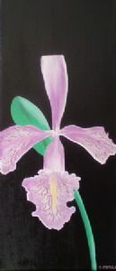 "Magical Orchid"
