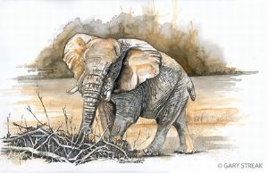 "Elephant Ambush"