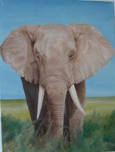 "Elephant"