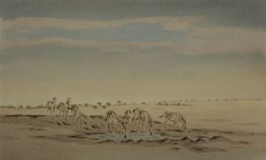"Zebras in Etosha "