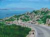 "Corsican Roadway"