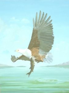 "Fish Eagle"