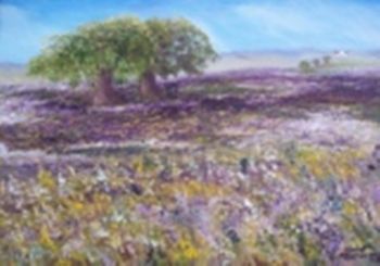 "Spring Field"