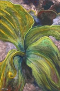 "Orchidacea Chronos 3"