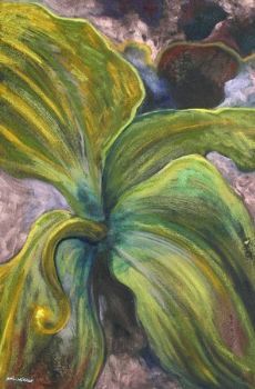 "Orchidacea Chronos 3"