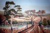 "Highveld Farm"