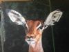 "Impala"