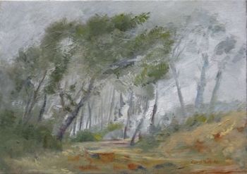 "Moody Mountain Path"