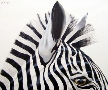 "Zebra Mount-Platinum Collection"