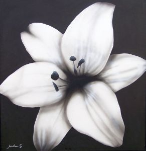 "Black and White Flower"