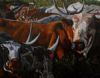 "Nguni"