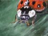 "Bugs-Ladybird 2"
