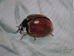 "Bugs - Ladybird"