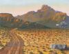 "Golden Karoo Sunset"